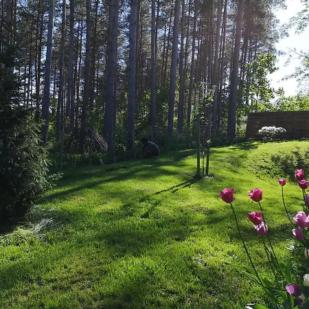 Homestay & Forest Relax With Private Sauna & Garden *