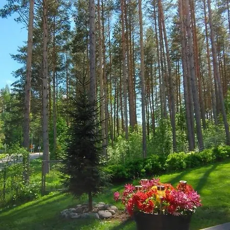 & Forest Relax With Private Sauna & Garden